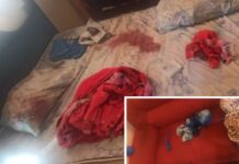 Homem é preso suspeito de estuprar, roubar e enforcar vizinha com fio de extensão em Onda Verde