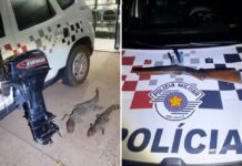 Homem é preso em Santo Antônio do Aracanguá por caça ilegal após matar dois jacarés