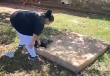 Homem preso suspeito de cortar perna de cachorro com faca de cozinha é liberado e recebe multa de R$ 6 mil