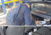 PRF apreende mais de 200 garrafas de vinho argentino em veículo na BR-153