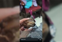 Fake news envolvendo distribuição de bombons envenenados espalha medo em Votuporanga