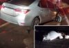 Duas pessoas ficam feridas após carro bater contra boi em rodovia