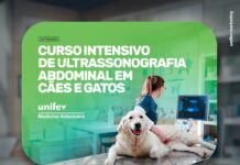 Unifev abre inscrições para curso intensivo de Ultrassonografia Abdominal em cães e gatos