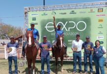 Qualidade marca julgamento da raça Mangalarga na 62ª Expo Rio Preto