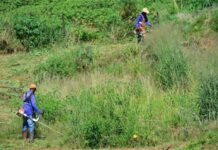 Terceira etapa de fiscalização e limpeza de terrenos segue até o dia 15 de dezembro