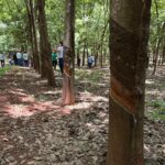 8fbfbf00-1b8c-4f9e-bf5c-b24a2340f08f