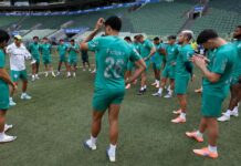 Palmeiras tenta recuperar seis convocados e prepara mudanças contra Fluminense no Brasileiro