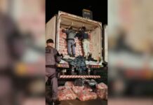 Caminhoneiro é preso transportando quase duas toneladas de maconha em Jales