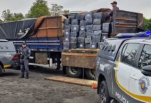 Apreensões de drogas em rodovias do interior paulista ultrapassam 110 toneladas em 2025