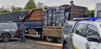 Apreensões de drogas em rodovias do interior paulista ultrapassam 110 toneladas em 2025