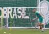Gómez e Allan treinam no Palmeiras; Weverton trabalha no campo