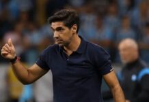 Palmeiras ganha reforços e viaja para decidir Libertadores