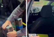 Traficante abandona carro com 153 kg de maconha após perseguição na Rodovia Euclides da Cunha