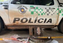 Polícia Ambiental autua pescadores por uso de petrechos proibidos em Pontes Gestal