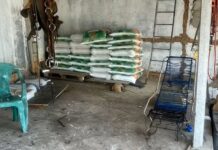 Homem é preso suspeito de furtar sacos de ração de fazenda onde trabalhava