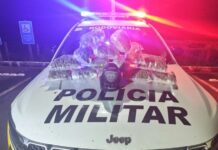 Mulher é presa com 7 kg de supermaconha em rodovia de Castilho