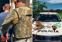 Polícia Ambiental recupera gado furtado e prende receptador em Jales