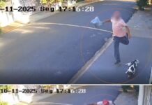 Homem é flagrado chutando cachorra em Olímpia