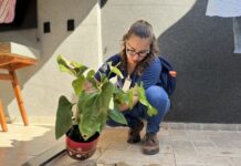 Mutirão contra a dengue ocorre no bairro Vila Paes neste sábado