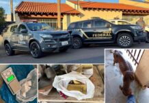 Nova fase da Operação Ponte de Bordeaux prende quatro suspeitos em Votuporanga