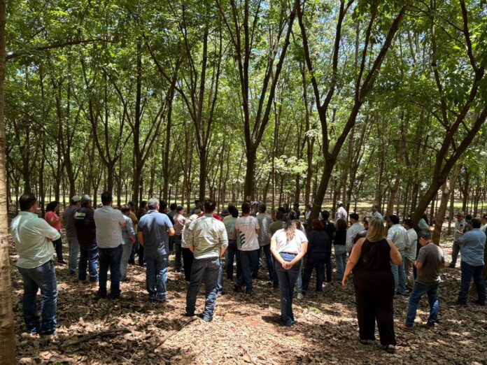 b66289ad-4e2d-4262-8ef7-605a70353035