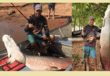 Pescador de São João do Marinheiro, em Cardoso, captura Pirarucu de 165 quilos