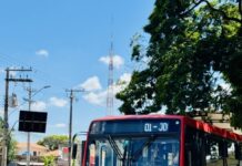 Transporte coletivo: Prefeitura realiza pesquisa para ouvir população