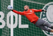 Palmeiras acerta renovação com goleiro Marcelo Lomba