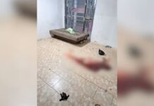 Adolescente morre baleado durante sessão de tatuagem em Mirassol