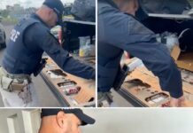 PRF apreende anabolizantes, ampolas emagrecedoras e celulares escondidos em compartimento oculto de caminhonete