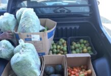 Prefeitura abre credenciamento de agricultores familiares para o Programa de Aquisição de Alimentos