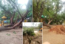 Temporal causa destruição em Votuporanga e interdita Parque da Cultura