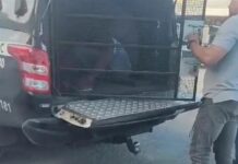 Acusado de esfaquear a ex-namorada grávida em Votuporanga é preso em AL