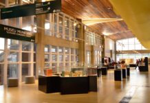 Museu ‘Edward Coruripe Costa’ passa pela maior requalificação de sua trajetória