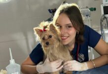 Egressa da Unifev tem artigo publicado em periódico internacional