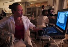 Unifev realiza curso intensivo de Ultrassonografia Abdominal em animais