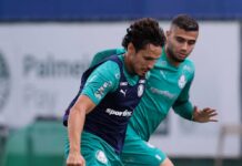 Palmeiras fecha preparação para o clássico e pode ter time completo