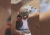 Idosa fica ferida após tropeçar em tartaruga e cair em casa