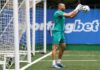 Bahia faz consulta pelo goleiro Weverton, do Palmeiras