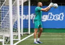 Bahia faz consulta pelo goleiro Weverton, do Palmeiras