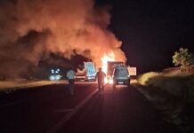 Motociclista fica ferido após colisão com caminhão na Rodovia Euclides da Cunha