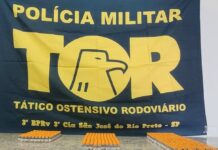 Três suspeitos são presos transportando emagrecedores em ônibus interestadual; um deles é venezuelano