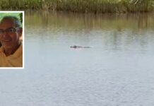 Pescador é encontrado morto com sinais de mordidas de jacaré
