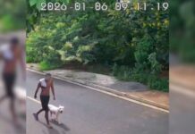 Câmeras ajudam a identificar suspeito de matar pitbull em Rio Preto