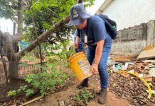 Secretaria da Saúde reforça combate à Dengue e alerta para prevenção