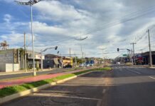 Prefeitura abre licitação de R$ 351 mil para jardinagem e manutenção de paisagismo da Avenida Emílio Arroyo Hernandes