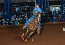 Jovem de Santa Albertina brilha em uma das maiores provas de Team Roping