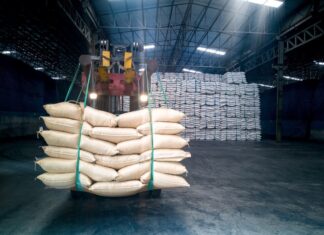 Região registra superávit comercial de US$ 2,04 bilhões em 2025