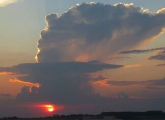 Além do Eixo Amazonas: O Despertar de uma Nova Votuporanga