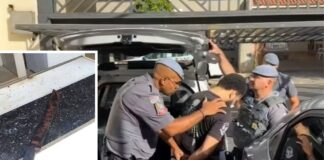 Filho é preso após decepar antebraços da mãe em Rio Preto